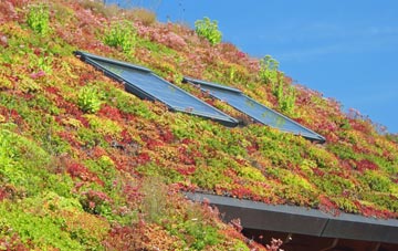 Hirst Courtney living roof systems